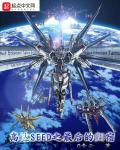 The Final Destination Of Gundam Seed